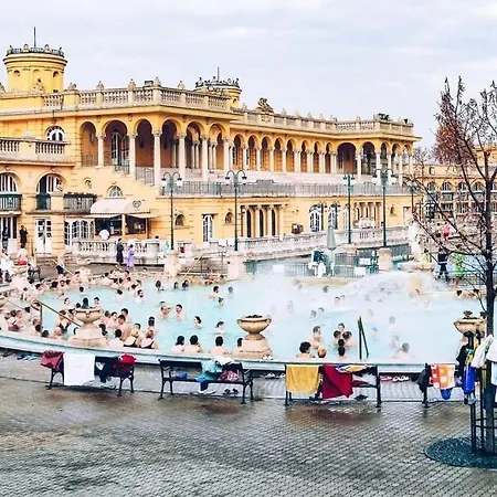 Appartamento Dohany Synagogue Walk To Deák&fashion St Budapest
